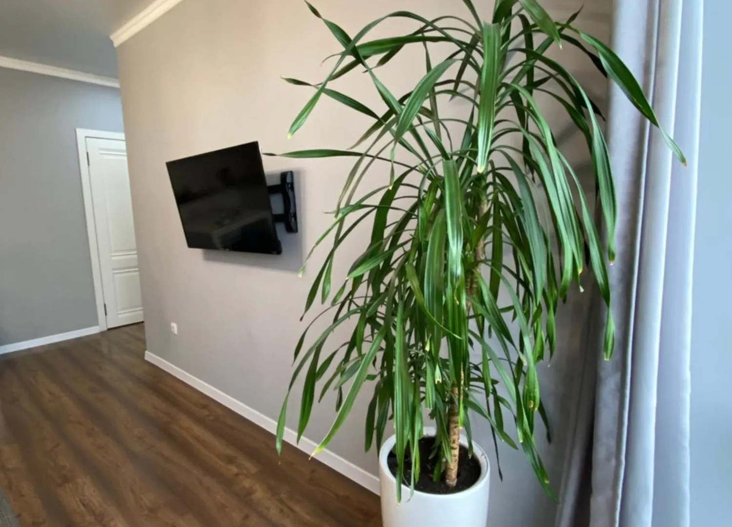 Apartment Квартира В Центре Алматы Kasachstan